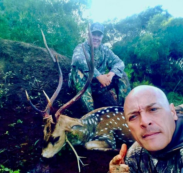 Axis Deer Hunts in Hawaii